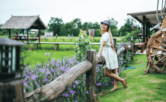 Charming Countryside Stays Guide Discover Rustic Luxury and Peaceful Escapes