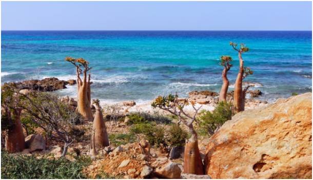 Socotra Island, Yemen