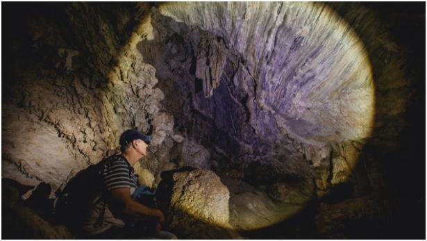 Waitomo Glowworm Caves (New Zealand)