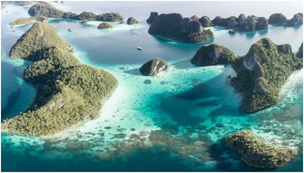 Marine Life in Raja Ampat